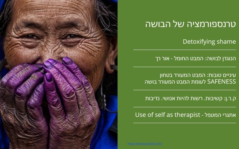 טרנספורמציה של הבושה- המלצות למטפלים