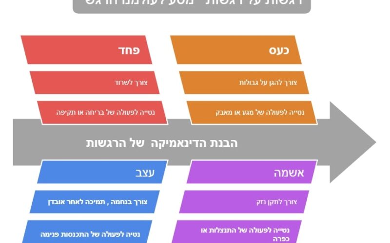 רגשות על רגשות - מסע לעולמנו הרגשי